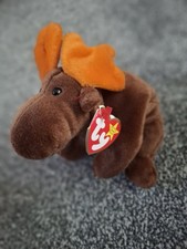 Ty Teddy Chocolate The Moose
