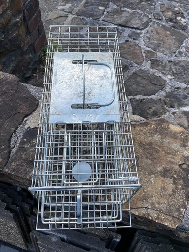 Stv076 squirrel cage trap - cage,