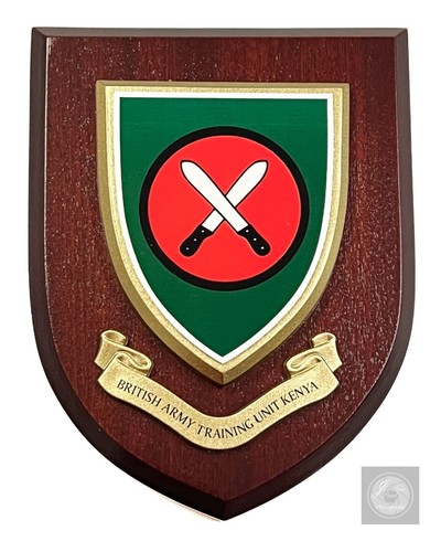 British army training unit - training,