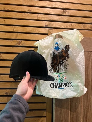 Champion junior horse - champion,