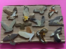None RSPB 12 x Raptor pin badges full set of badges but only 11 cards and 1 plan