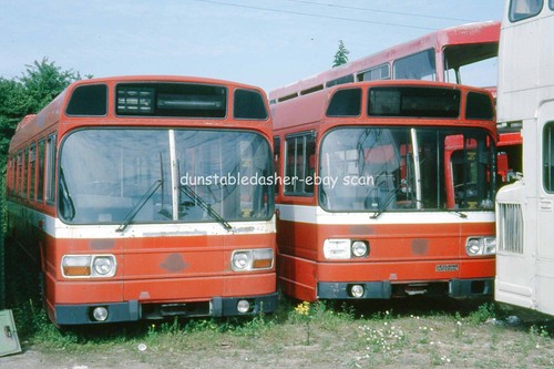 35mm bus slide south - bus,