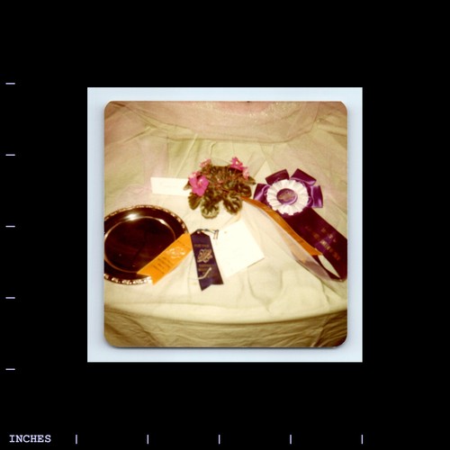 Square color photo first - square,