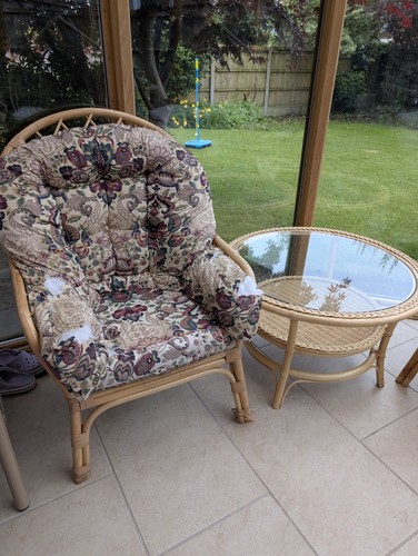 Piece cane conservatory - 4,