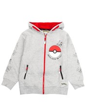 Pokemon Grey Pokeball Pikachu