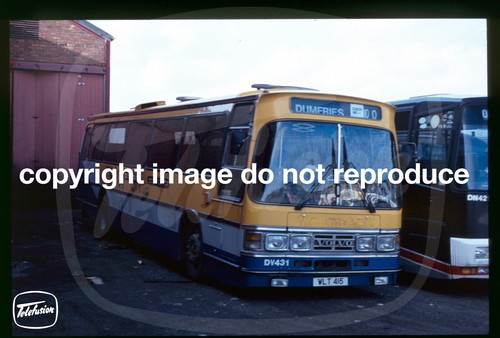 Copy coach slide western - coach,