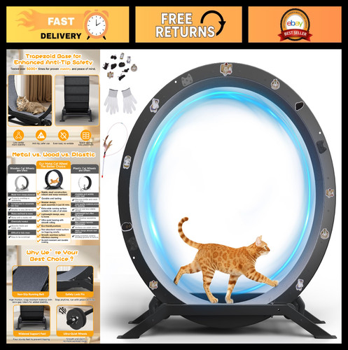 Large cat exercise wheel - exercise,