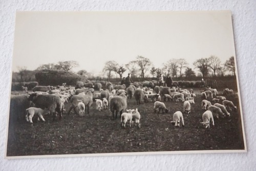 Little munden farm watford - munden,