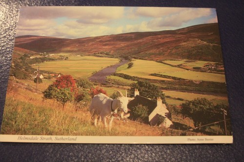 Helmsdale strath sutherland - strath,,