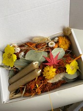 DRIED FLOWER Bundle 200 stems