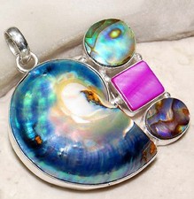 Conch Natural Abalone Shell &