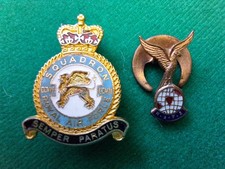 Original ~ RAF ~ 2 x Enamel Badges ~ 207 Squadron ~ RAFA ~ Good Condition