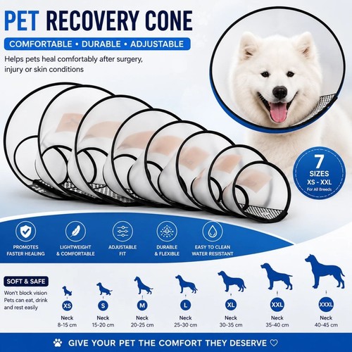 Elizabethan pet protective - elizabethan,