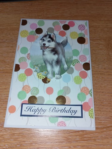 Homemade pack husky - homemade,