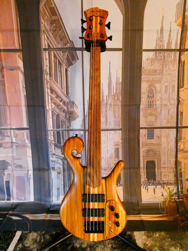 Chyla basses 5 - 5, string
