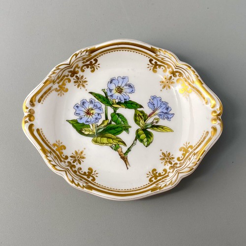 Spode stafford flowers 12cm - spode,