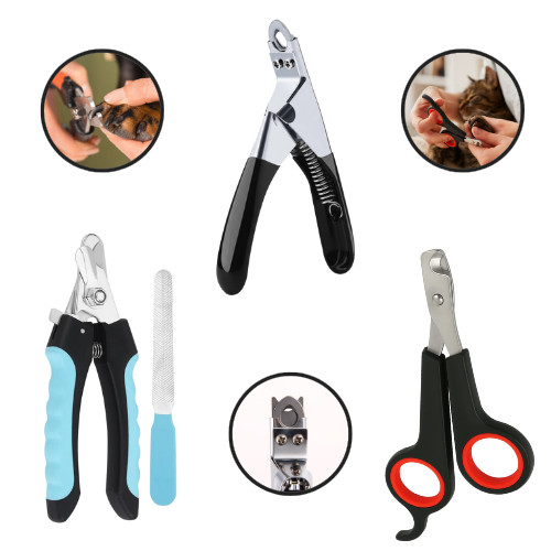 Dog nail clippers - dog, pet