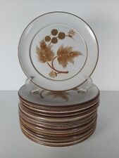 Set Of 12x Denby Cotswold Stoneware Salad Plates