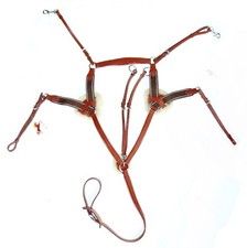 FSS 5 POINT BREASTPLATE