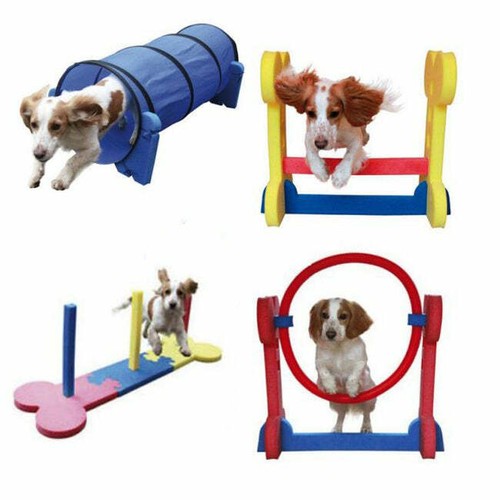 Rosewood small dog agility - small,