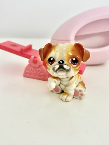 Bulldog with see - 46,