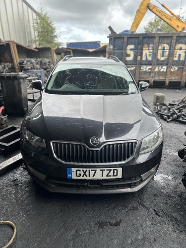 Skoda octavia black - skoda,