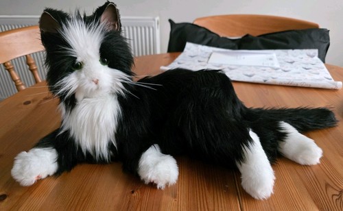 Joy for all companion - pet, cat