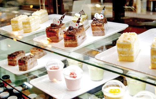 10x food display tray - display,