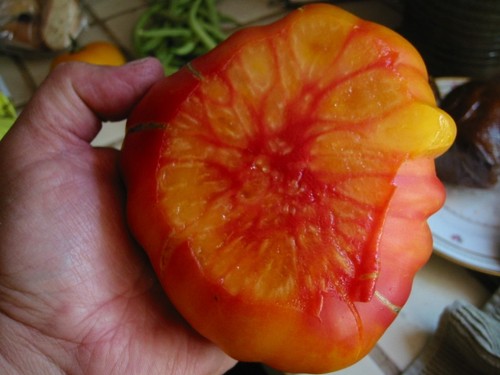 Organic tomato old german - organic,