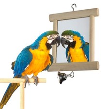 Pet Bird Mirror With Bell