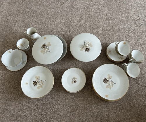 Rosenthal china dinner - rosenthal,