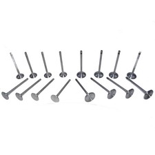 Engine Intake & Exhaust Valve