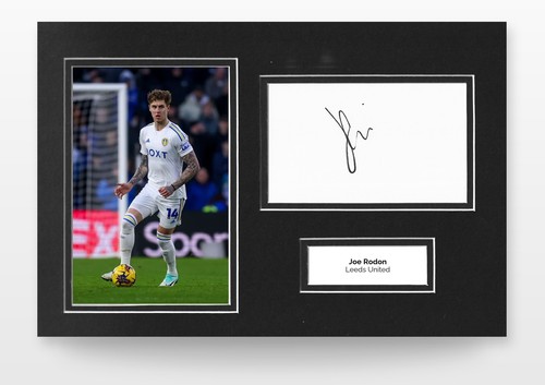 Joe rodon signed 12x8 photo - joe,