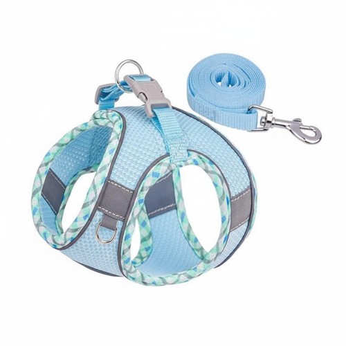Dog harness and leash - and, set