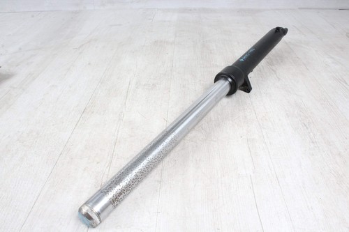 Fork stanchion right leaking