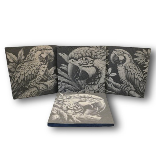 Macaw parrot slate - macaw,