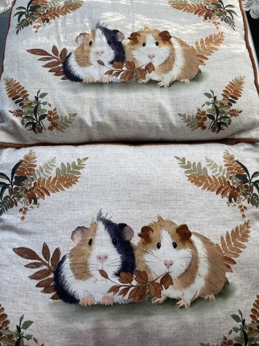 Asda george guinea pig - george,