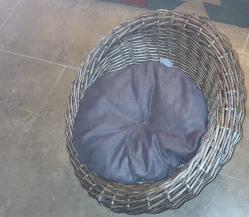 Beautiful wicker dog/cat