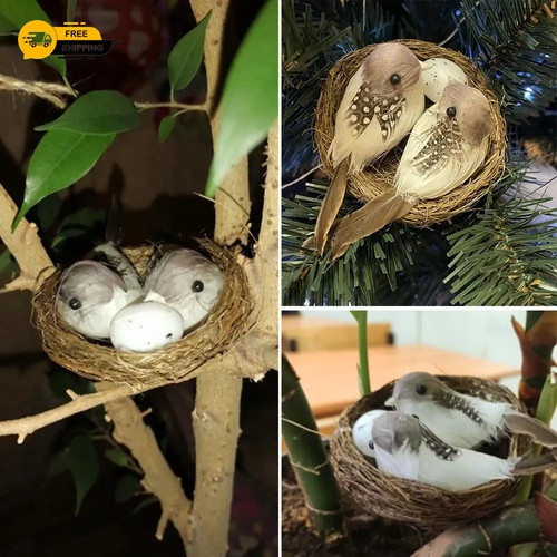 Realistic feather birds with - feather,