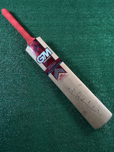 Purist contender cricket - gm,