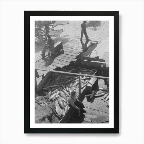 Indian fishing for salmon - indian,