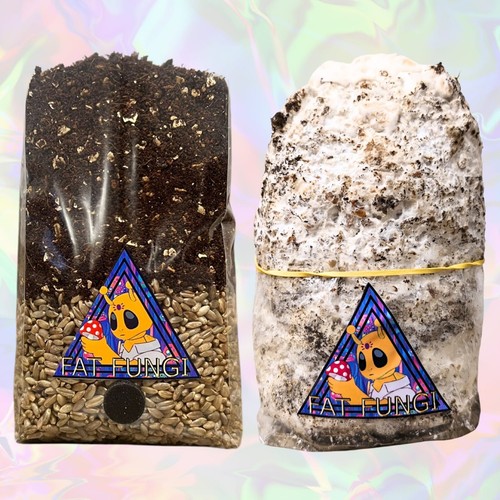 Easy all one mushroom grow - all-in-one,