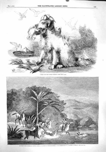 Old antique print 1860 folly - 1860,