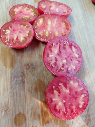 Tomato demidov siberian - tomato,