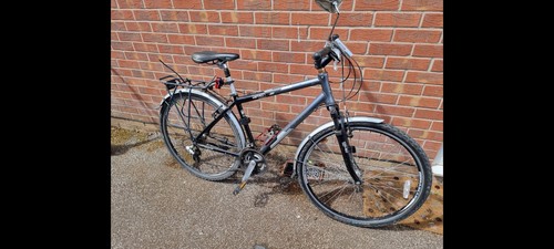 Raleigh pioneer metro glx - raleigh,