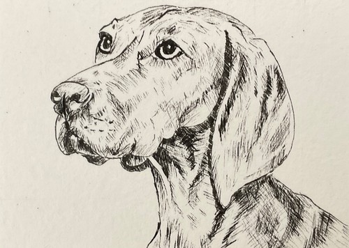 Aceo pen and - pen, ink
