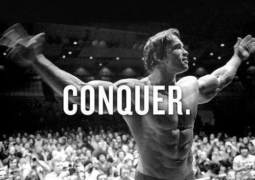 Arnold schwarzenegger poster - schwarzenegger,