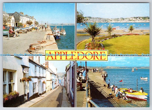 L381638 appledore salmon - l381638,