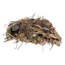 South American Amazon Blackwater Aquarium Apistogramma Botanical Starter Pack