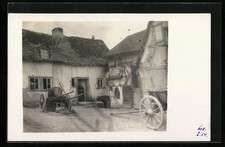 Wisper, postcard, farm